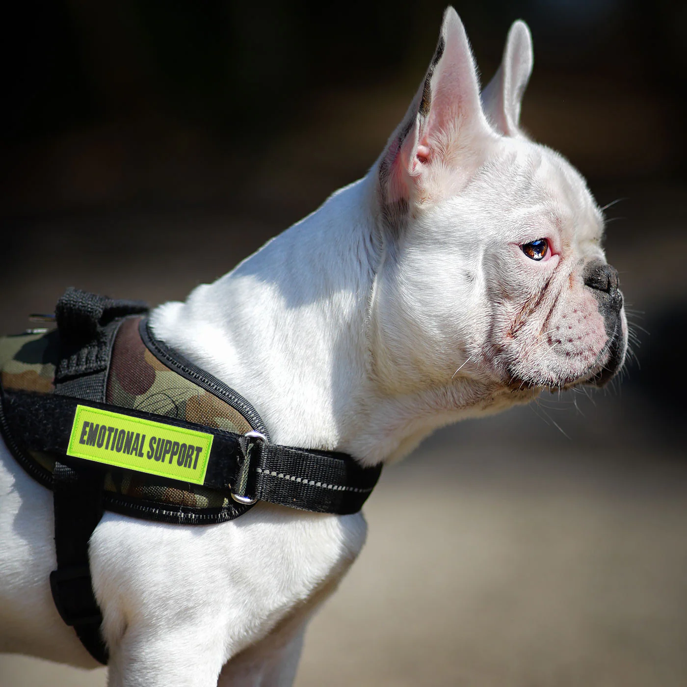 Emotional Support Dog Harness Patch: Hi Vis Yellow, Hook & Loop, 11cm - Image 5
