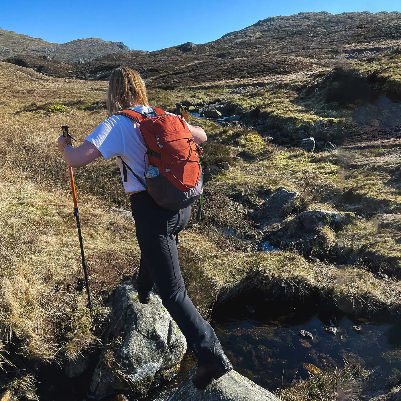 Highlander Venture 20L Rucksack - Image 17